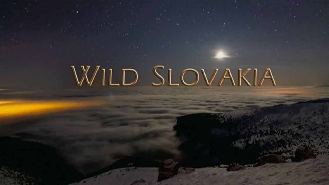 Дикая природа Словакии / Wild Slovakia (2015)