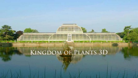 В королевстве растений (3 серии из 3) / Kingdom of Plants 3D (2012)