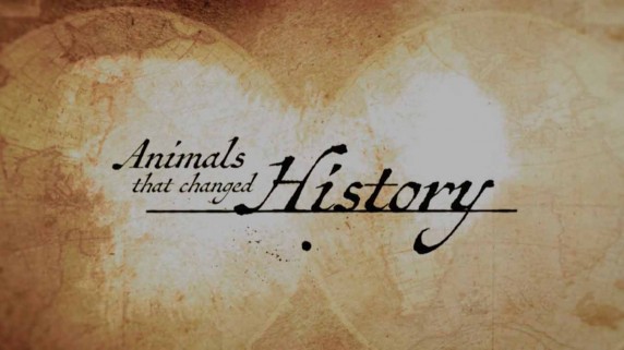 Животные которые изменили историю 2 серия. Одежда / Animals that changed History (2015)