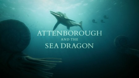 Аттенборо и морской дракон / Attenborough and the Sea Dragon (2019)