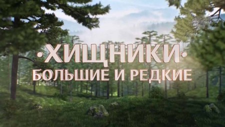 Хищники. Большие и редкие (2021)