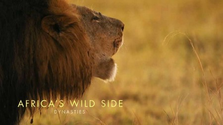 Дикая Африка: династии / Africa's Wild Side. Dynasties (2019)