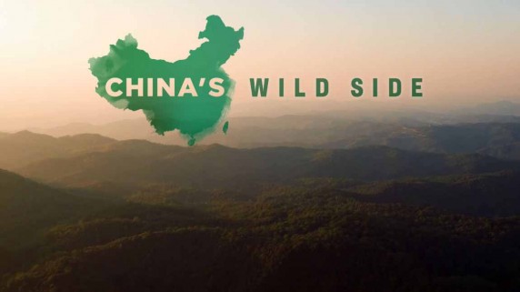 Дикая природа Китая. Удивительные животные / China's wild side (2017)