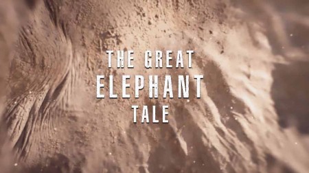 Потрясающие истории слонов / The Great Elephant Tale (2020)