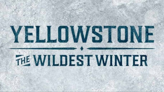 Йеллоустоун. Суровая зима / Yellowstone. The Wildest Winter (2017)