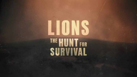 Львицы: борьба за выживание / Lions: The Hunt For Survival (2021)