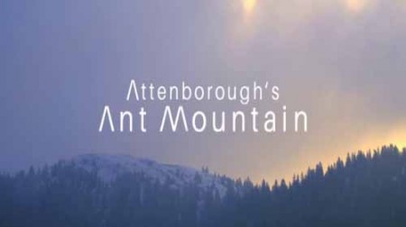 Муравьиная гора с Дэвидом Эттенборо / David Attenborough's ant mountain (2017)