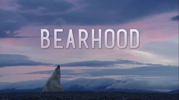 Медвежья школа / Bearhood (2014)