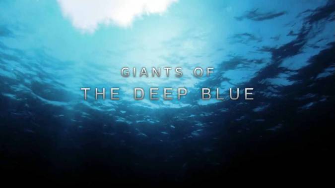 Глубоководные гиганты (Гиганты синей бездны) / Giants of the Deep Blue (2018)