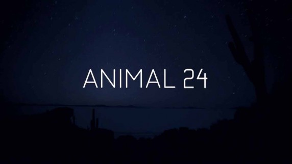 Животные 24 часа / Animal 24 (2017)