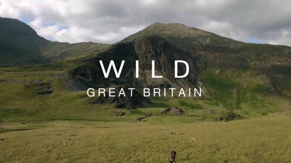 Дикая природа Великобритании 3 серия. Жизнь у воды / Wild Great Britain (2018)