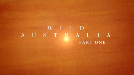 Дикая Австралия 1 серия / Wild Australia (2011)