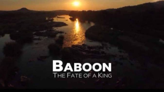 Король Бабуинов 1 серия / Baboon The Fate of a King (2015)