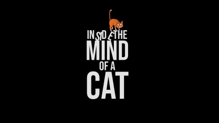 Inside The Mind Of A Cat