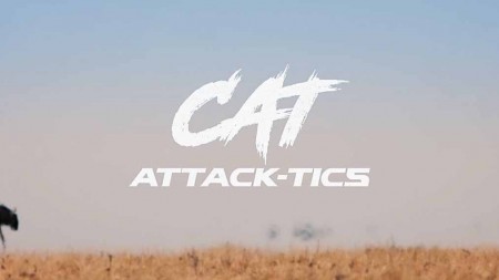 Кошачьи приемы / Cat Attack-Tics (2019)