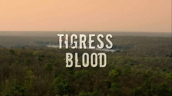 Банда тигриц / Tigress Blood (2014)