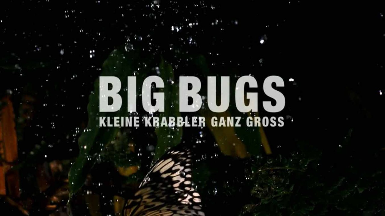 Большие жуки / Big Bugs (2012)