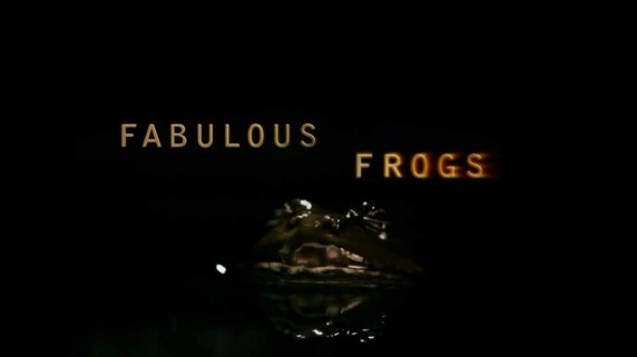 Невероятные лягушки / Fabulous Frogs (2014)