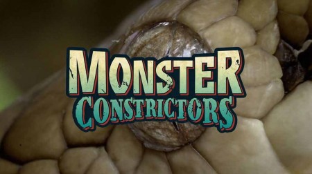 Гигантские змеи. Удавы / Monster Constrictors (2019)