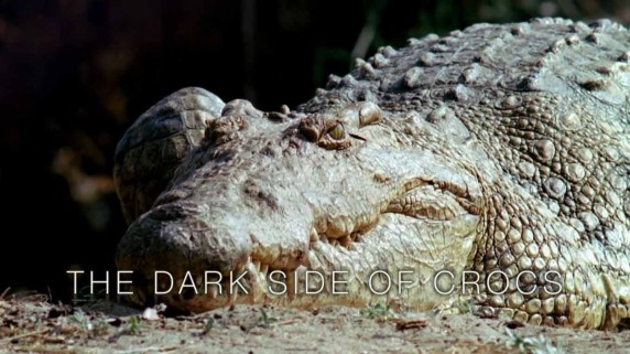 Вся правда о крокодилах / The dark side of crocs (2015)