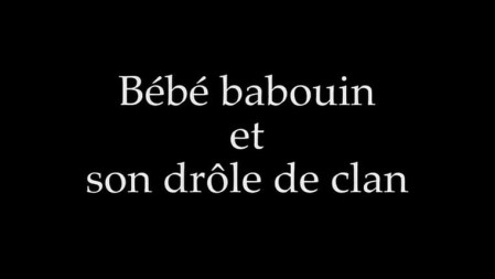 Маленький бабуин и его семья / Bébé babouin et son drôle de clan (2018)