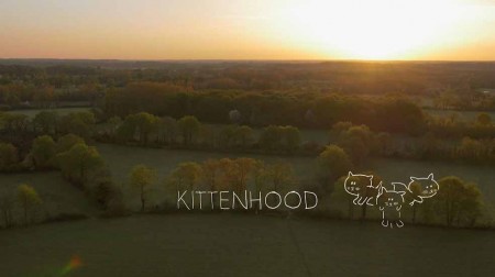 Кошачье детство / Kittenhood (2015)