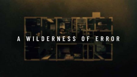 Пустыня ошибок (все серии)/ A Wilderness of Error (2020)