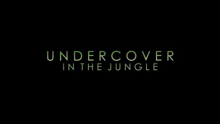 Под прикрытием в джунглях / Undercover in the Jungle (2019)