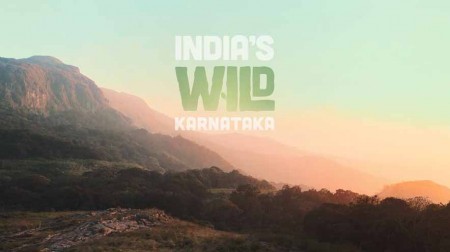 Дикий штат Карнатака, Индия / India's Wild Karnataka (2020)