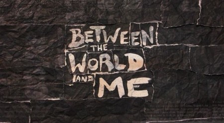 Между миром и мной / Between the World and Me (2020)