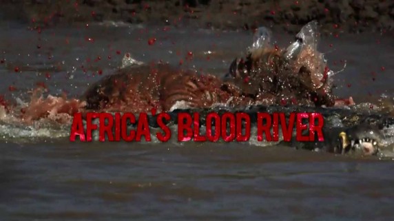 Африканская кровавая река / Africa's blood river (2013)