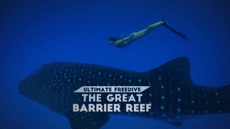 Фридайвинг на Большом Барьерном рифе / Ultimate Freedive: The Great Barrier Reef (2016)