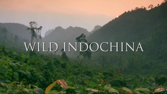 Дикий Индокитай / Wild Indochina (2016)