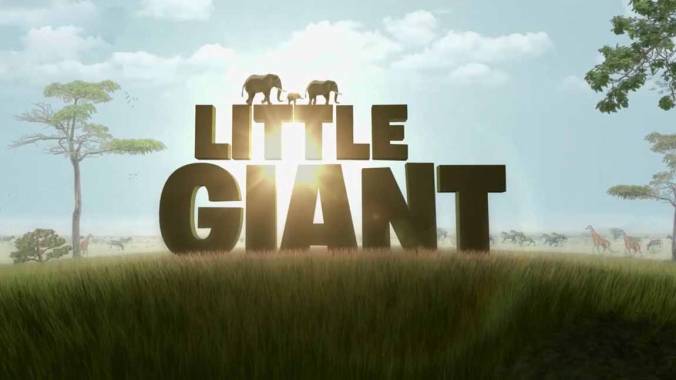 Маленький гигант / Little giant (2015)