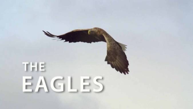 Орлы / The Eagles (2014)