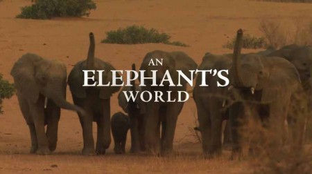 Почти человек. Жизнь слона / An Elephant's World (2017)