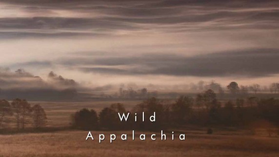 Невиданные Аппалачи / Wild Appalachia (2012)