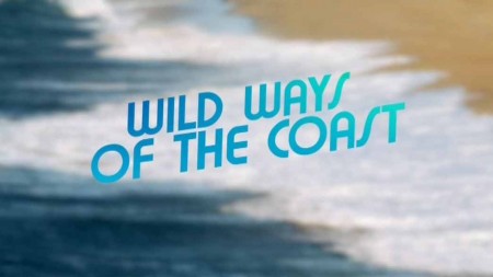 Прибрежные обитатели / Wild Ways of the Coast (2018)