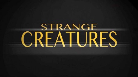 Необычные существа / Strange Creatures Of The Batangas Sea (2017)