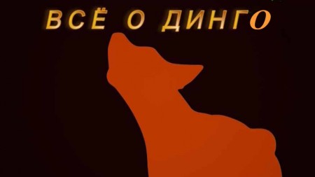 Все о Динго / In the Wild Return of the Dingo (2018)