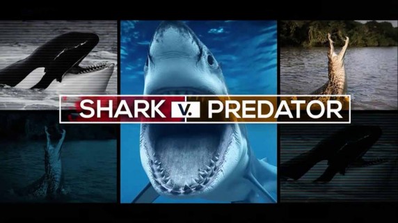 Акула против хищника / Shark v. Predator (2017)