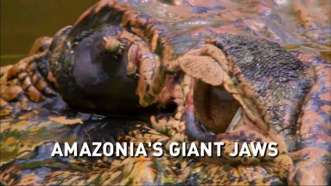 Гигантские челюсти Амазонии / Amazonia's giant jaws (2007)