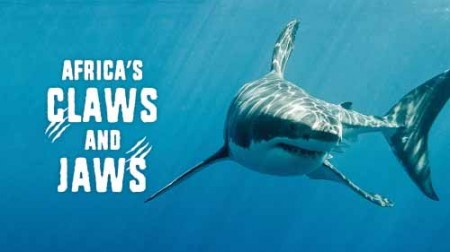 Африканские когти и челюсти 4 серия. Диковинные рептилии / Africa's Claws & Jaws (2017)