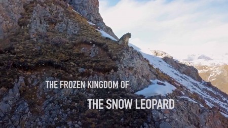 Холодное королевство снежного барса / The Frozen Kingdom of The Snow Leopard (2020)