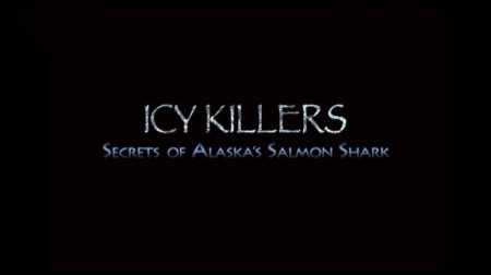 Убийцы холодных вод / Icy Killers: Secrets of Alaska's Salmon Shark (2008)