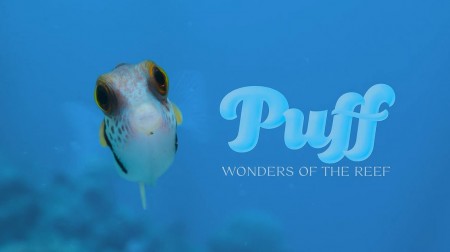 Чудеса кораллового рифа / Puff: Wonders of the Reef (2021)