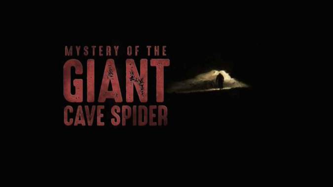 Загадка гигантского пещерного паука / Mystery of the Giant Cave Spider (2017)