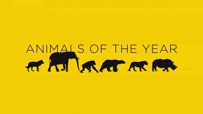 Животные года / Animals of the year (2017)