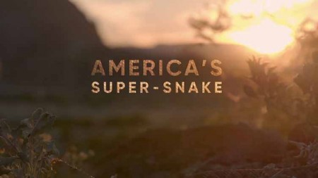 Супер-змея Америки / America's Super-Snake (2019)