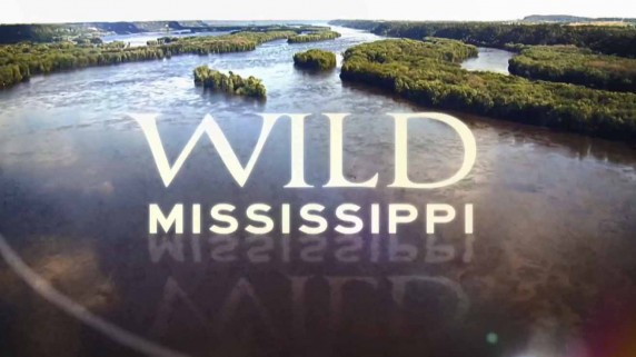 Дикая Миссисипи, лучшее / Wild Mississippi (2018)